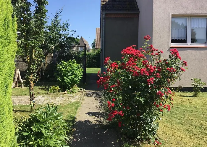 Bei Netti
